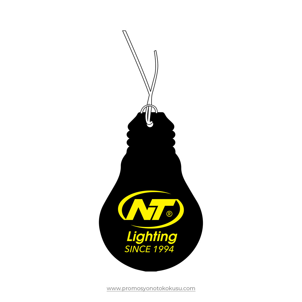 Promosyon Oto Kokusu